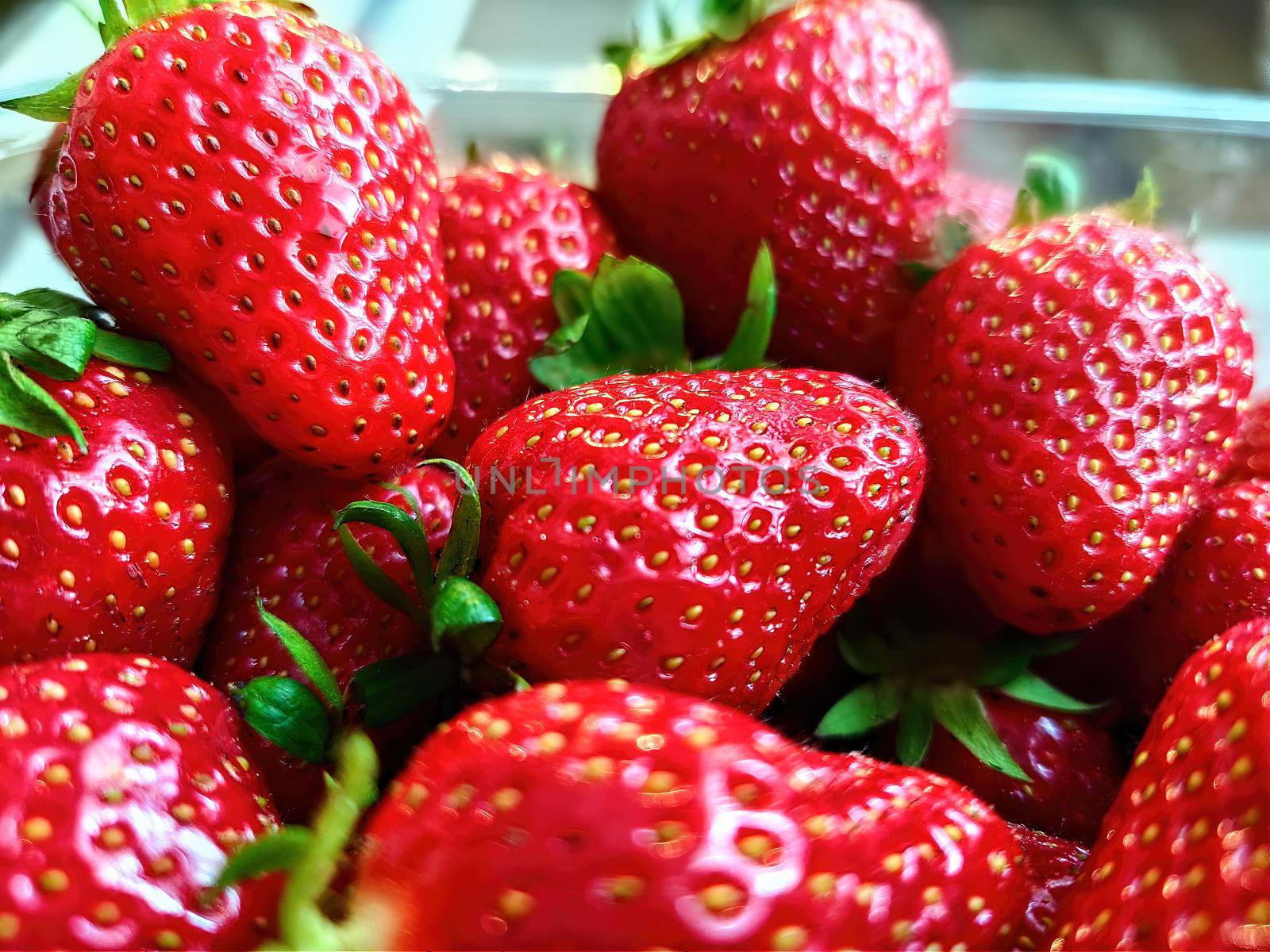 Fresh juicy strawberries with leaves. Strawberry. close up view by Nickstock