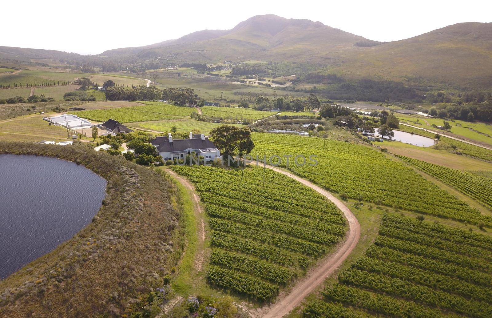 Aerial over vineyard in beautiful valley