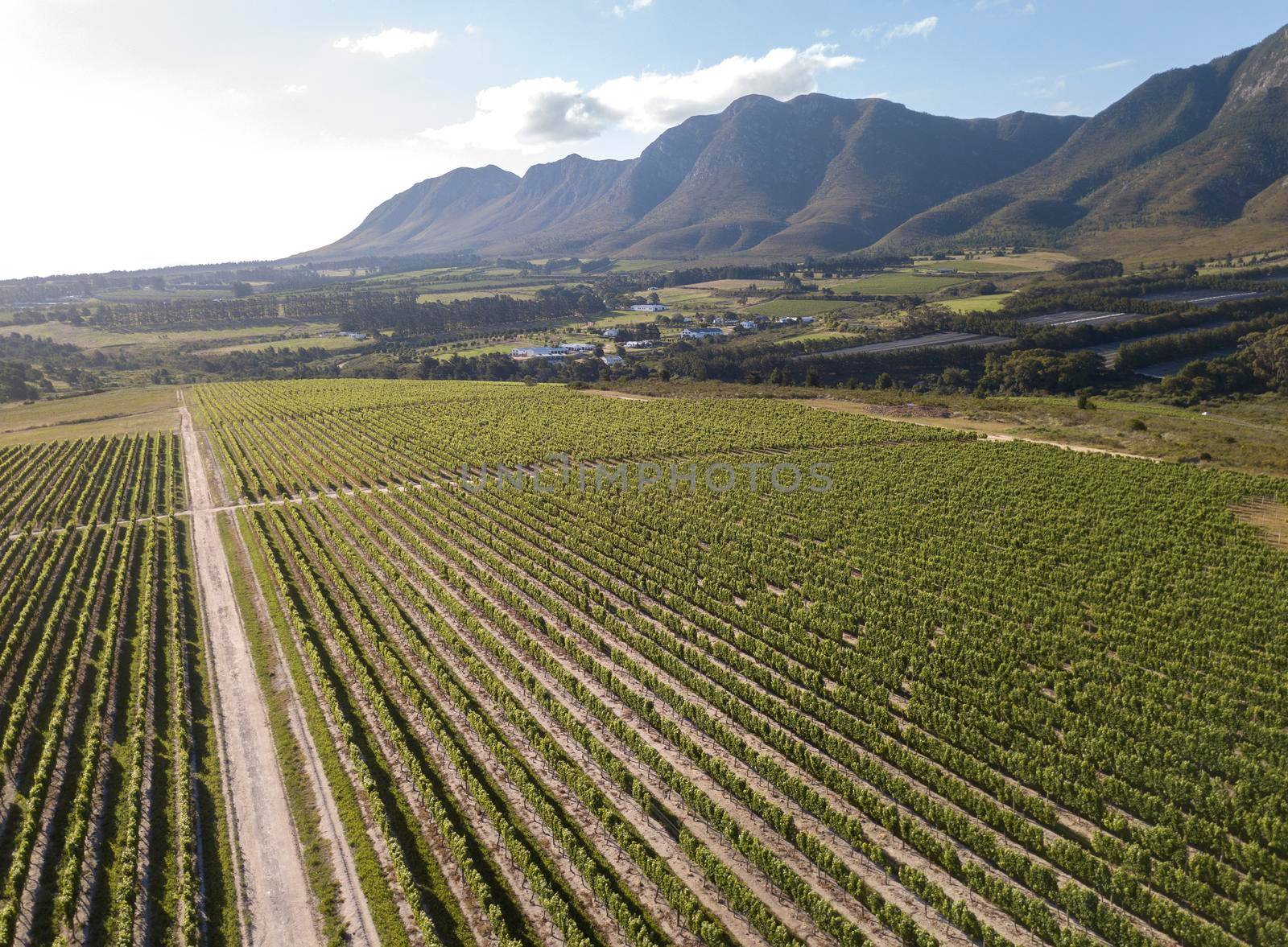 Aerial over vineyard in beautiful valley by fivepointsix