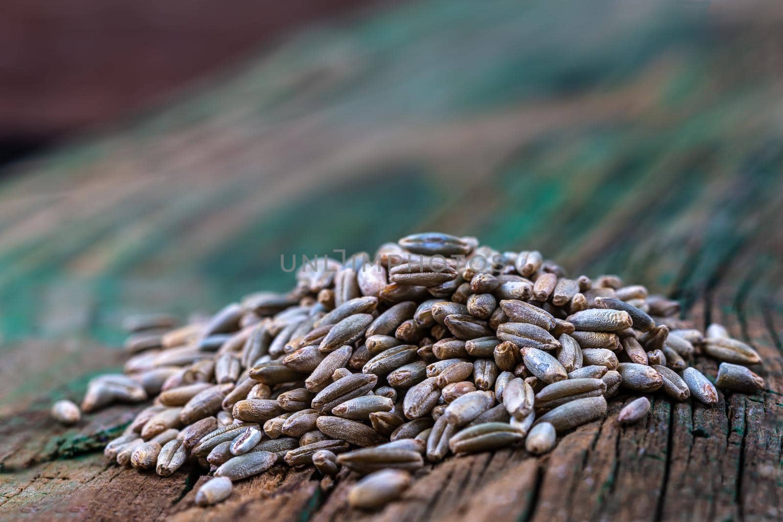 small stack of rye seeds in macro on old board