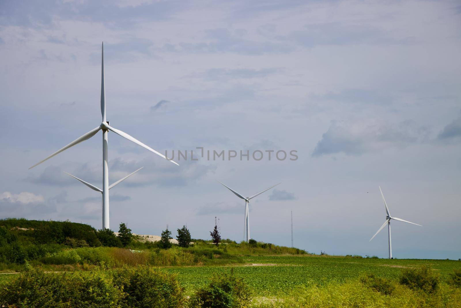 One large wind turbine takes the focus and reflects sunlight, with row of several windmills further away in green fields. Wind farm shot in summer in England with Canon EOS 90D
