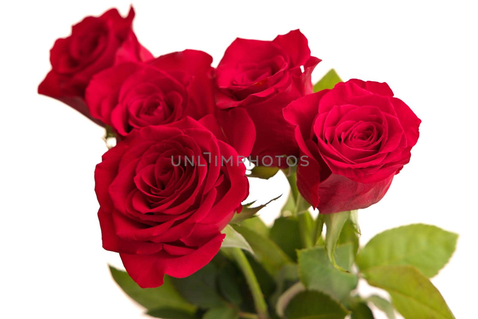 Bouquet of Red Roses in a Vase Isolated on a White Background. High quality studio photo