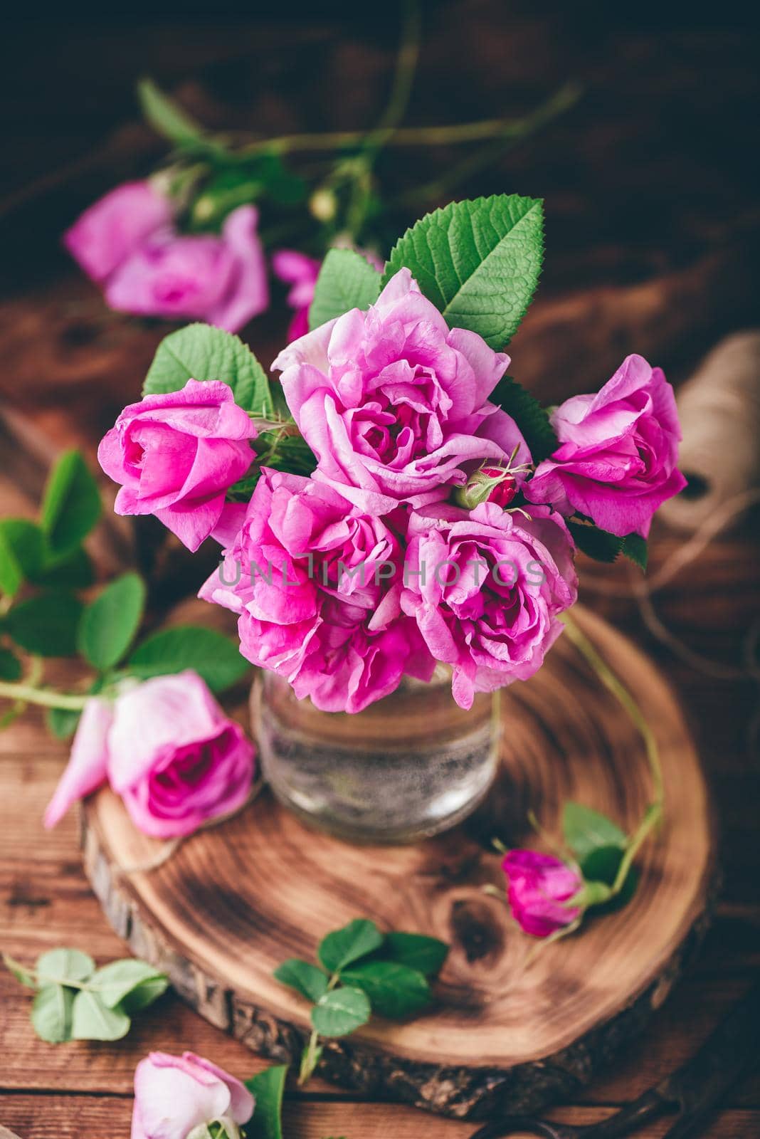 Bouquet of small pink garden roses in jar by Seva_blsv
