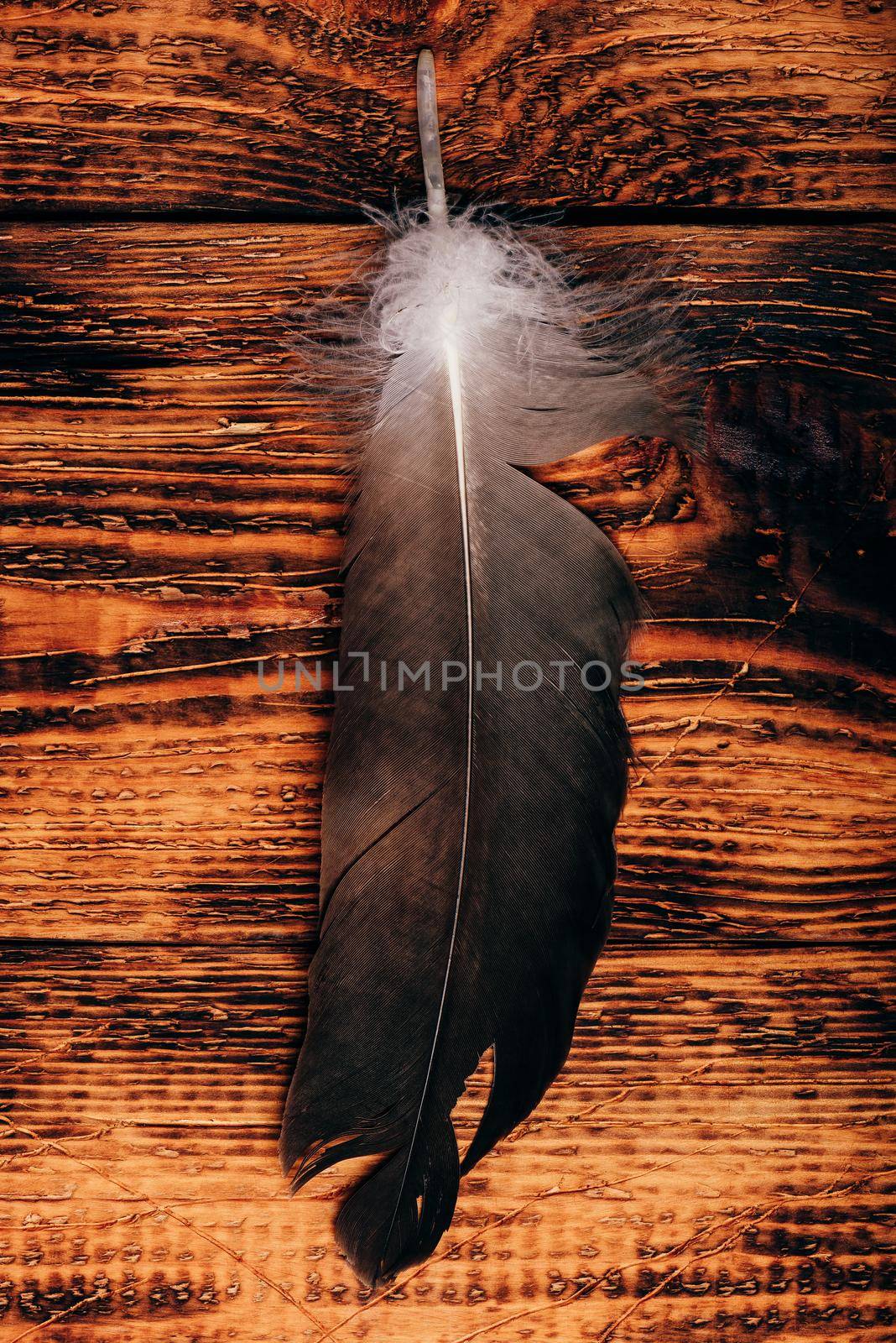 Hawk feather over old wooden table. Overhead