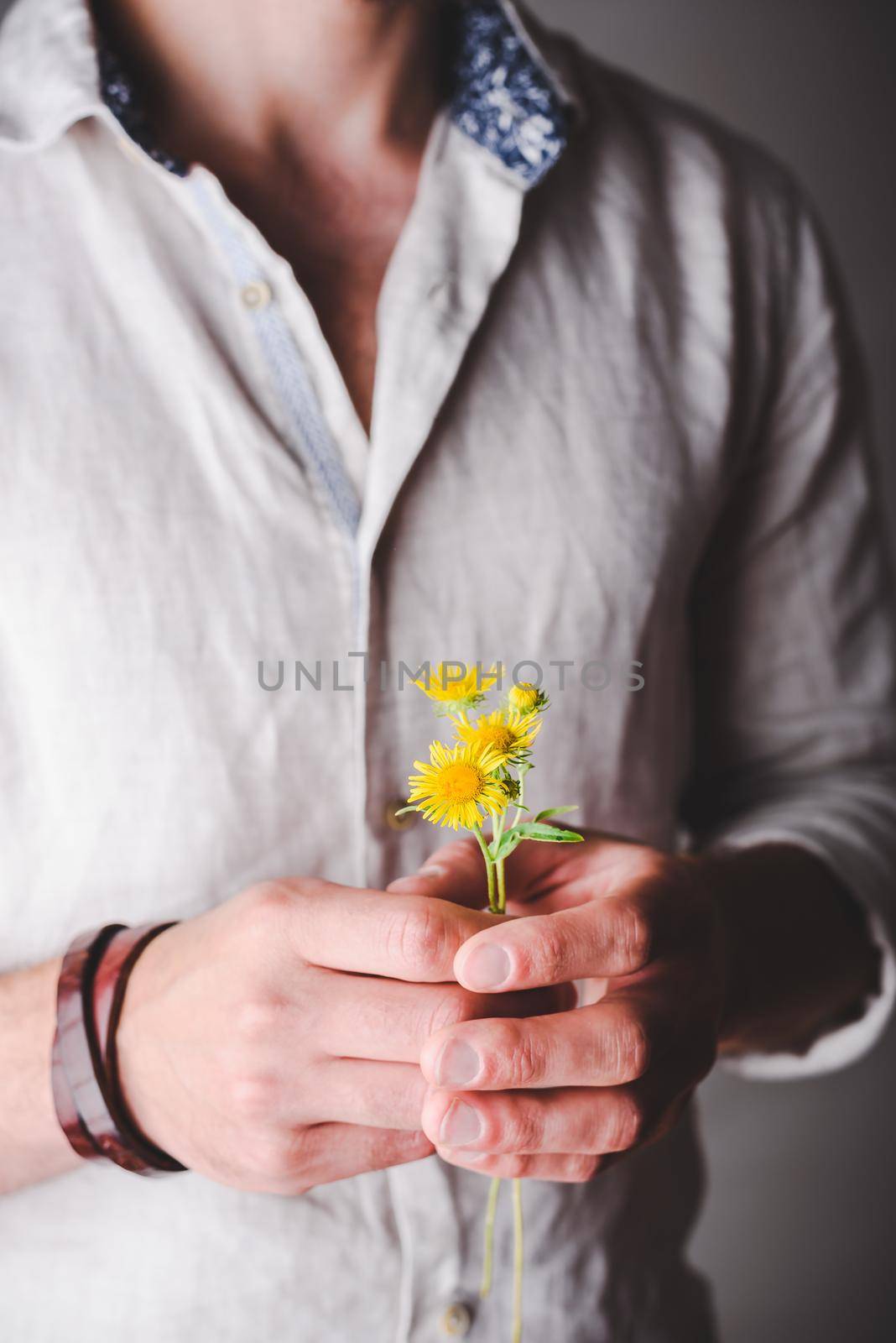 Daisy Flowers in Male Hands by Seva_blsv