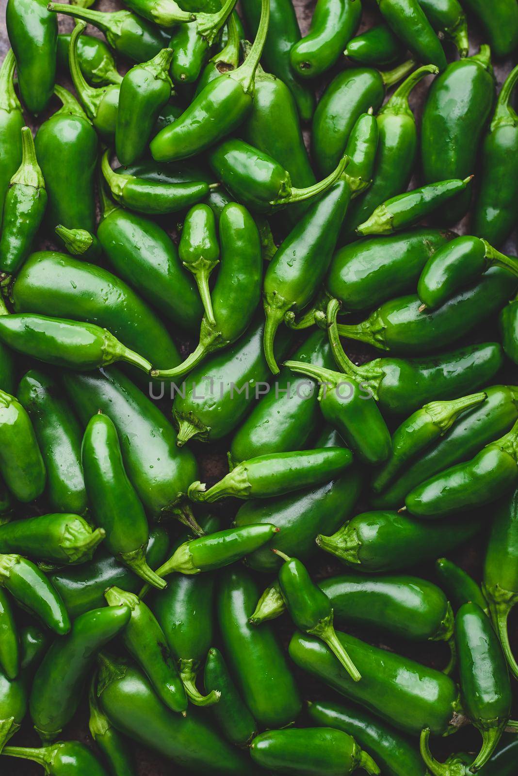 Top View of Green Jalapeno Peppers. Background by Seva_blsv