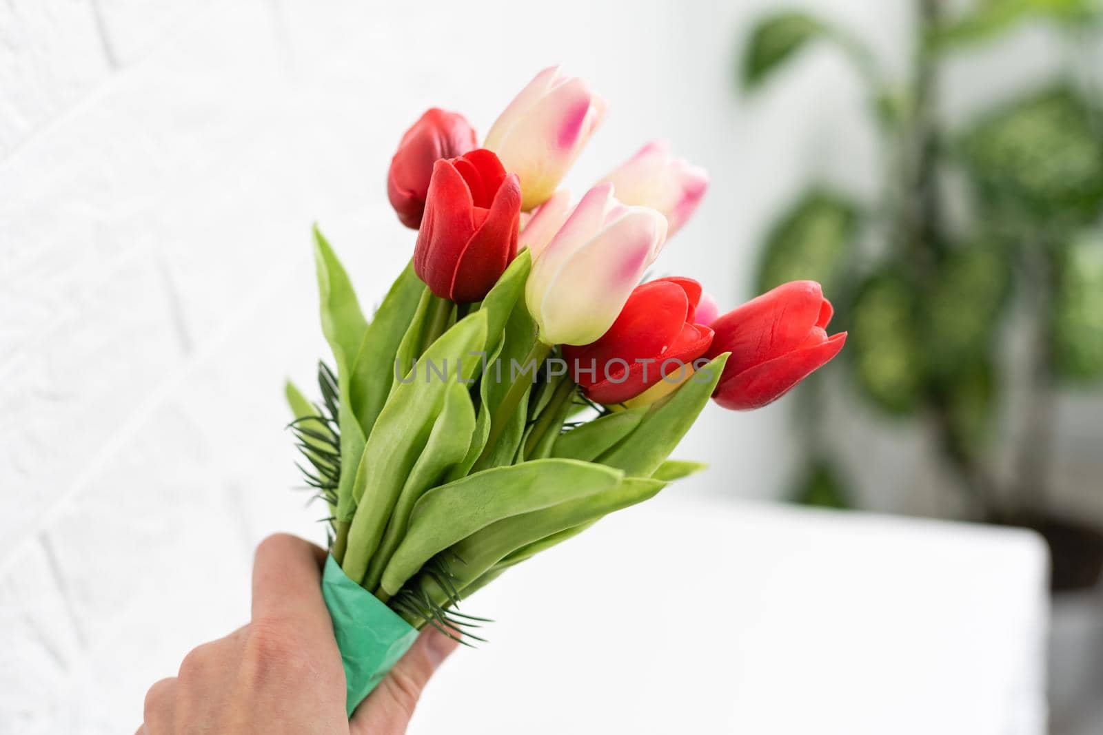 bunch of tulips isolated on white background.