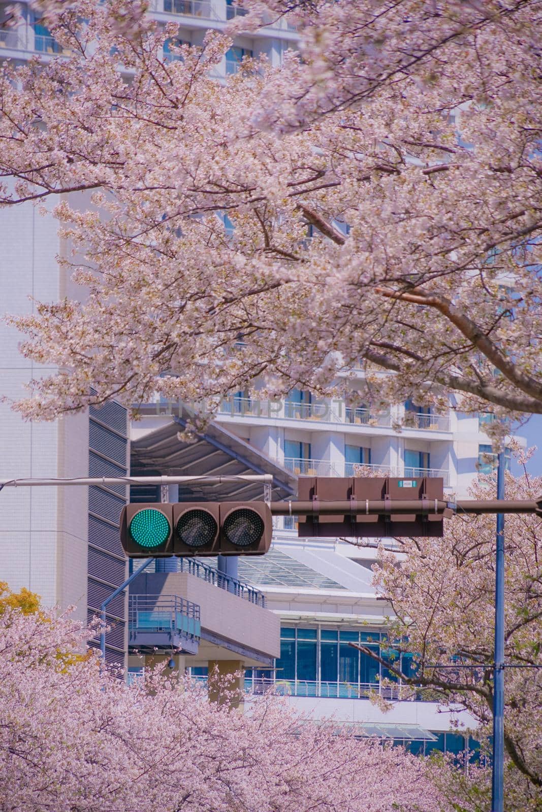 The city of full bloom and the city of Yokohama Minato Mirai. Shooting Location: Yokohama-city kanagawa prefecture