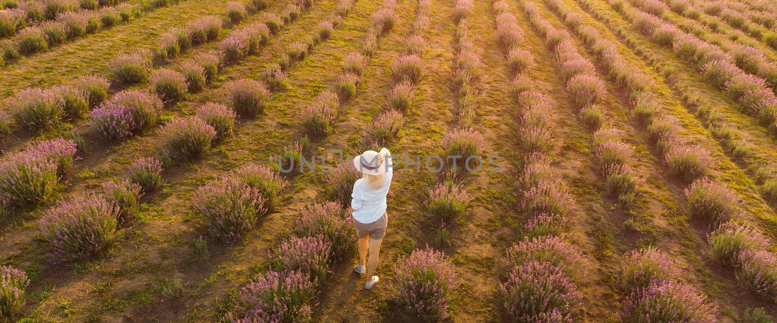 drone video of free and happy young woman run in pink and purple lavender fields at sunset.