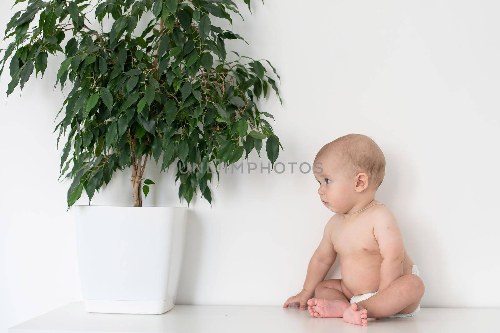 Little toddler boy with plant.