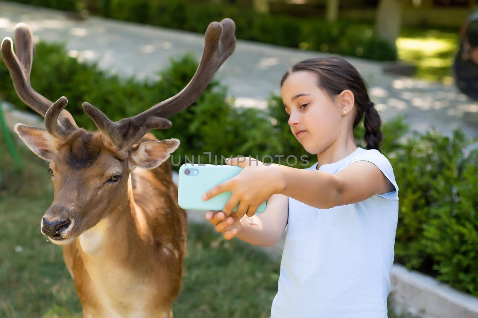 Exciting experience. Cute little girl watching and stroking young dappled deer with food while spending great time with her family in zoo. National Park. Animals.