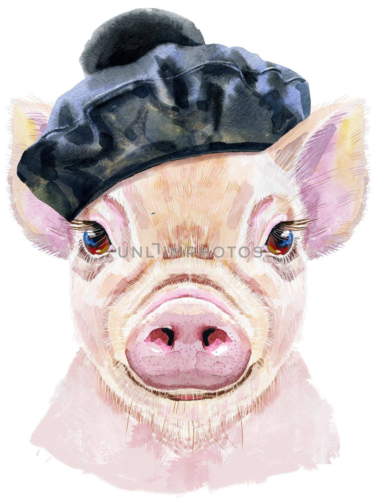 Cute piggy in black beret. Pig for T-shirt graphics. Watercolor pink mini pig illustration