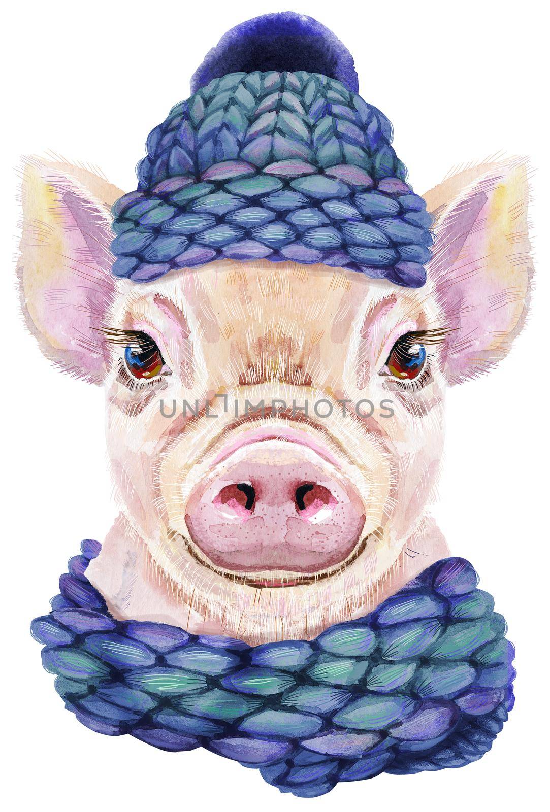 Cute piggy in a knitted blue hat and scarf. Pig for T-shirt graphics. Watercolor pink mini pig illustration