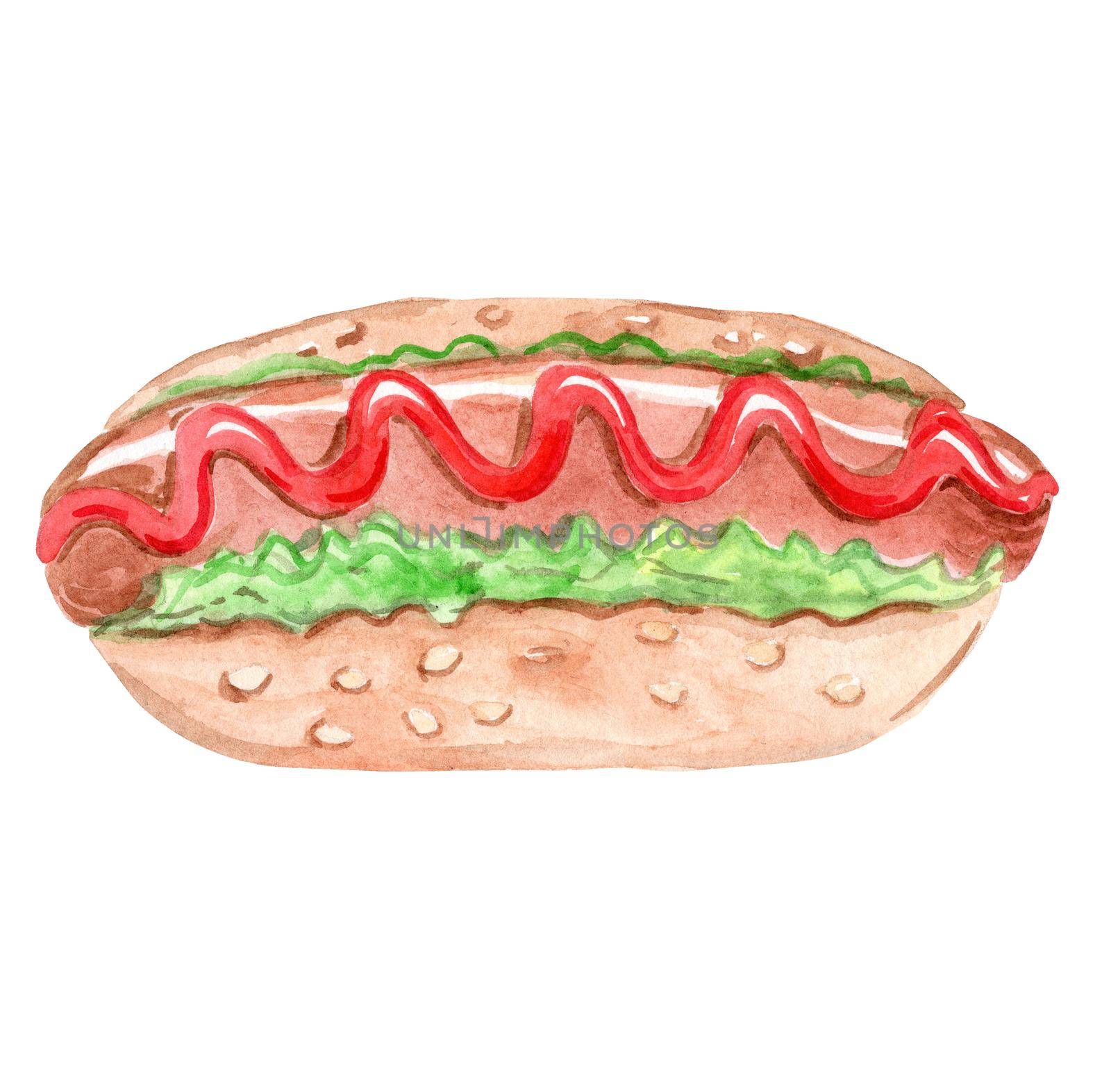 watercolor hand drawn hotdog with red ketchup sausage and sesame isolated on white background by dreamloud