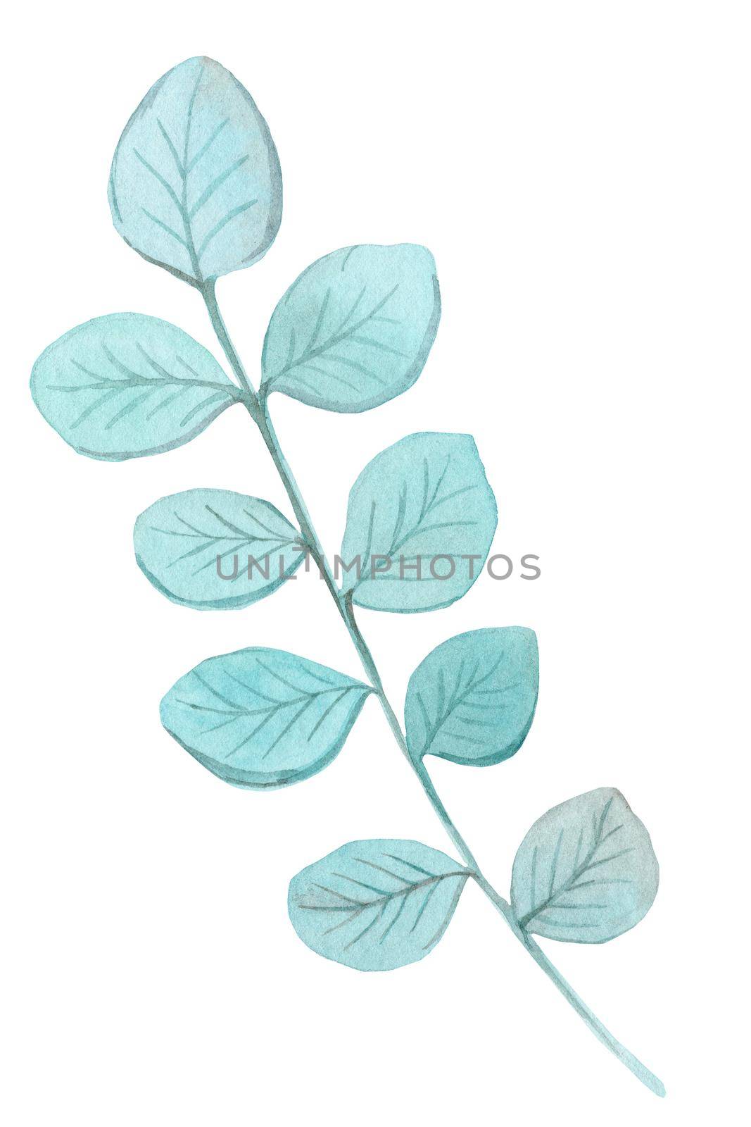 watercolor hand drawn blue tree branch isolated on white background for wedding invitations decoration