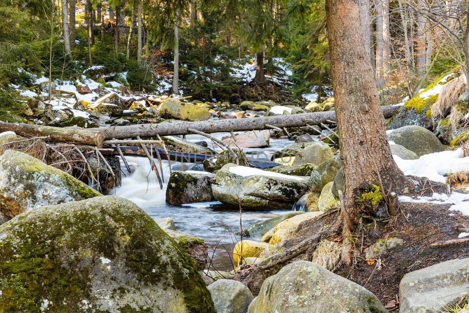 Huge stones and fallen trees lying over small mountain stream