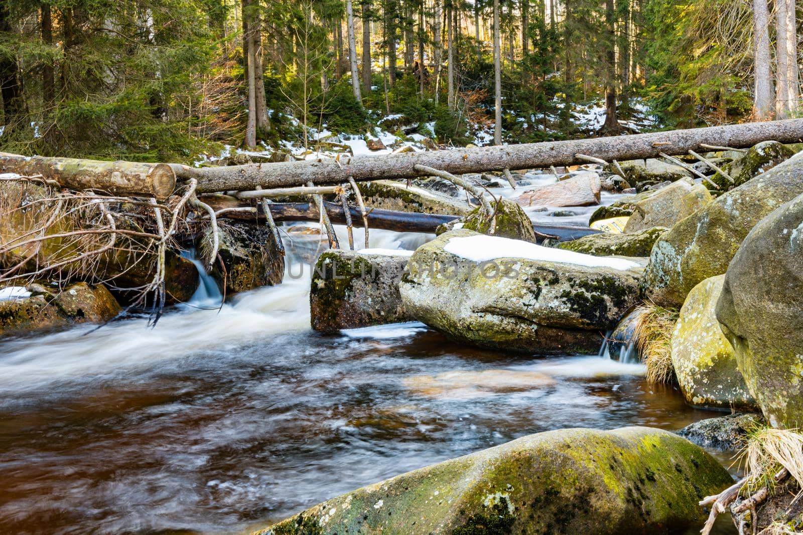 Huge stones and fallen trees lying over small mountain stream by Wierzchu