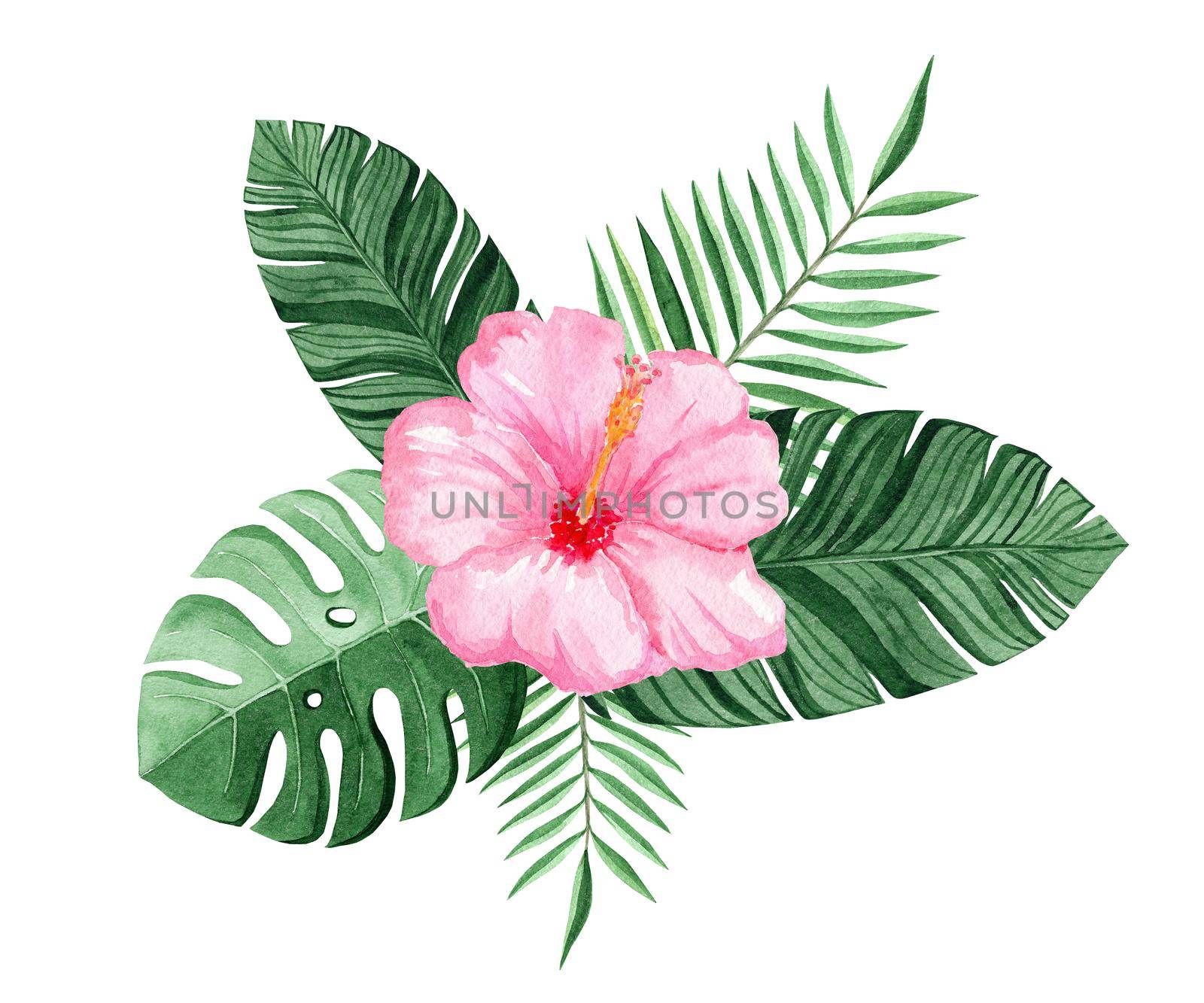 watercolor pink hibiscus and green tropical leaves composition isolated on white background by dreamloud