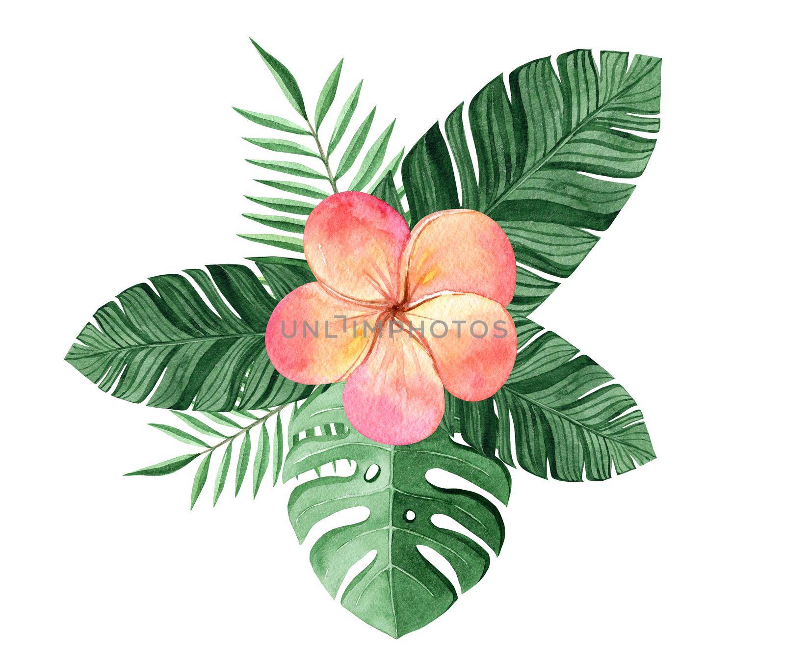 watercolor orange plumeria flower and green tropical palm leaves composition isolated on white background by dreamloud