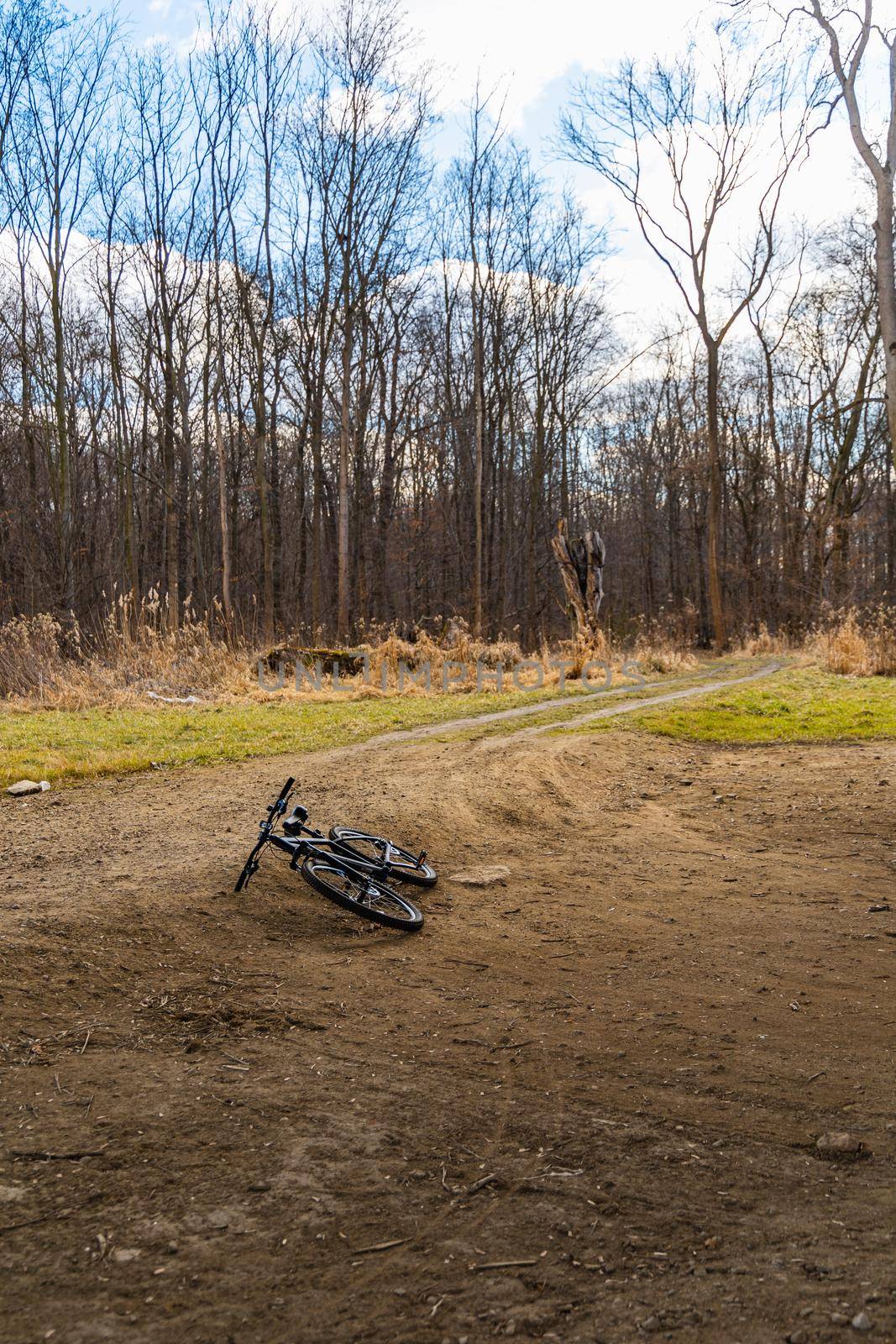 Black bicycle lying on the ground next to big forest and small path by Wierzchu