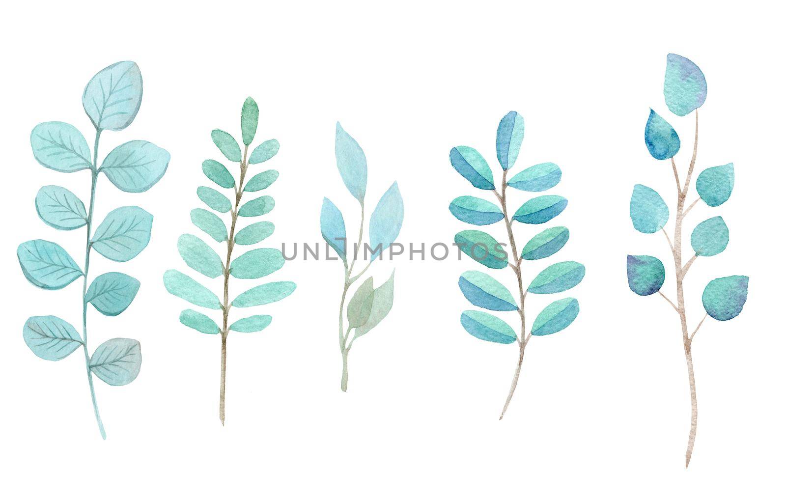 watercolor turquoise branches and leaves set isolated on white background for wedding card design, invitations,decorations by dreamloud