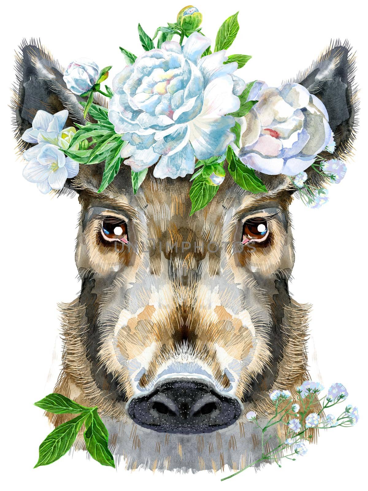 Cute piggy. Wild boar in a wreath of white peonies and freesias for T-shirt graphics. Watercolor brown boar illustration