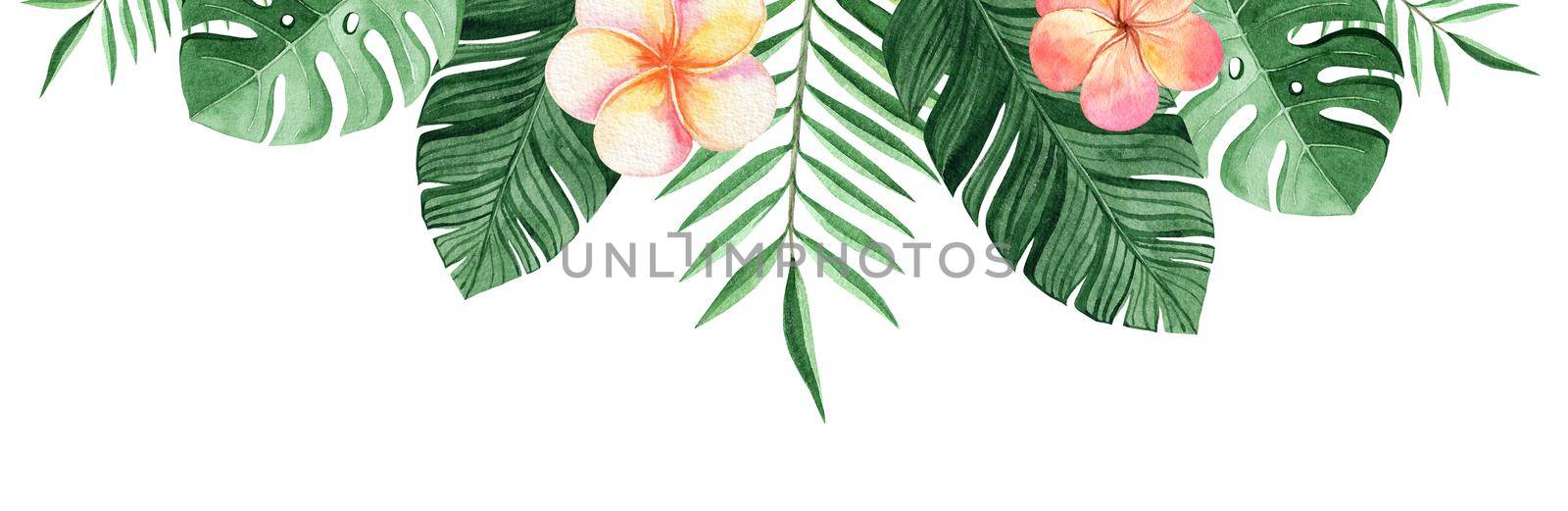 Watercolor tropical flowers border isolated on white background by dreamloud