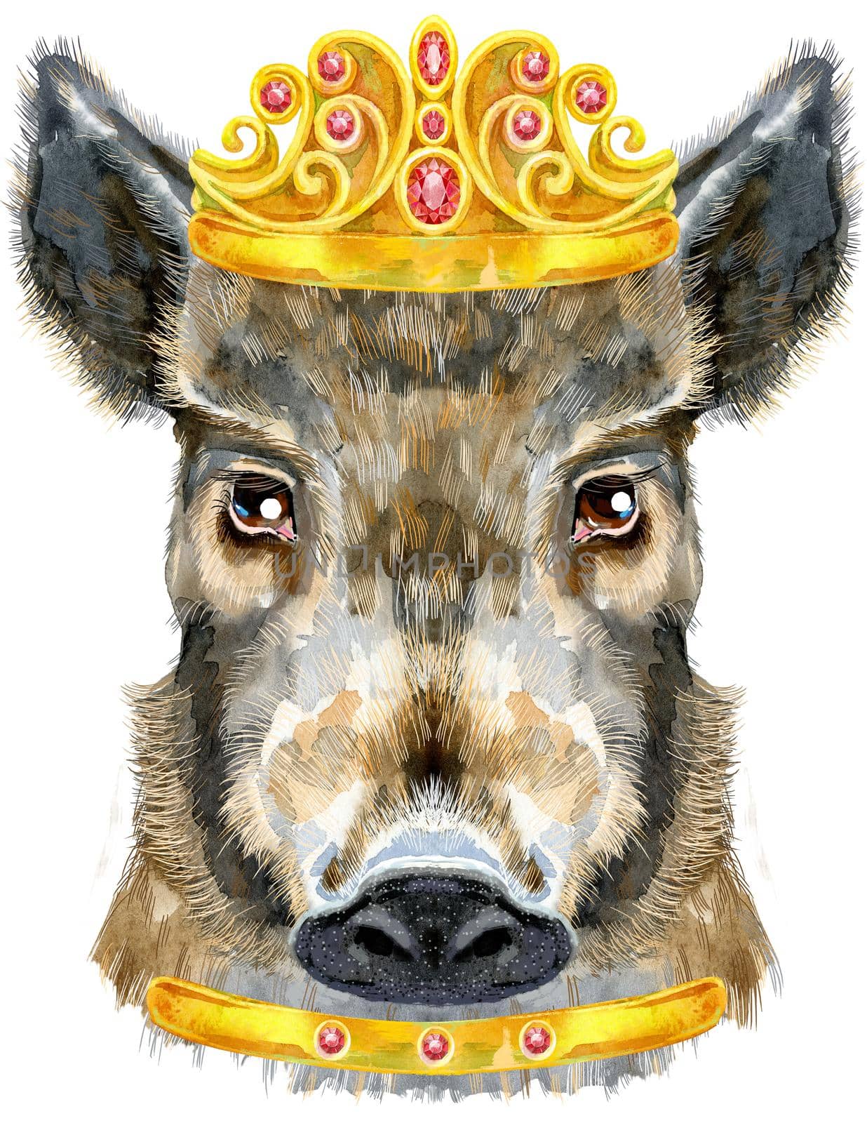 Watercolor portrait of wild boar with golden crown by NataOmsk
