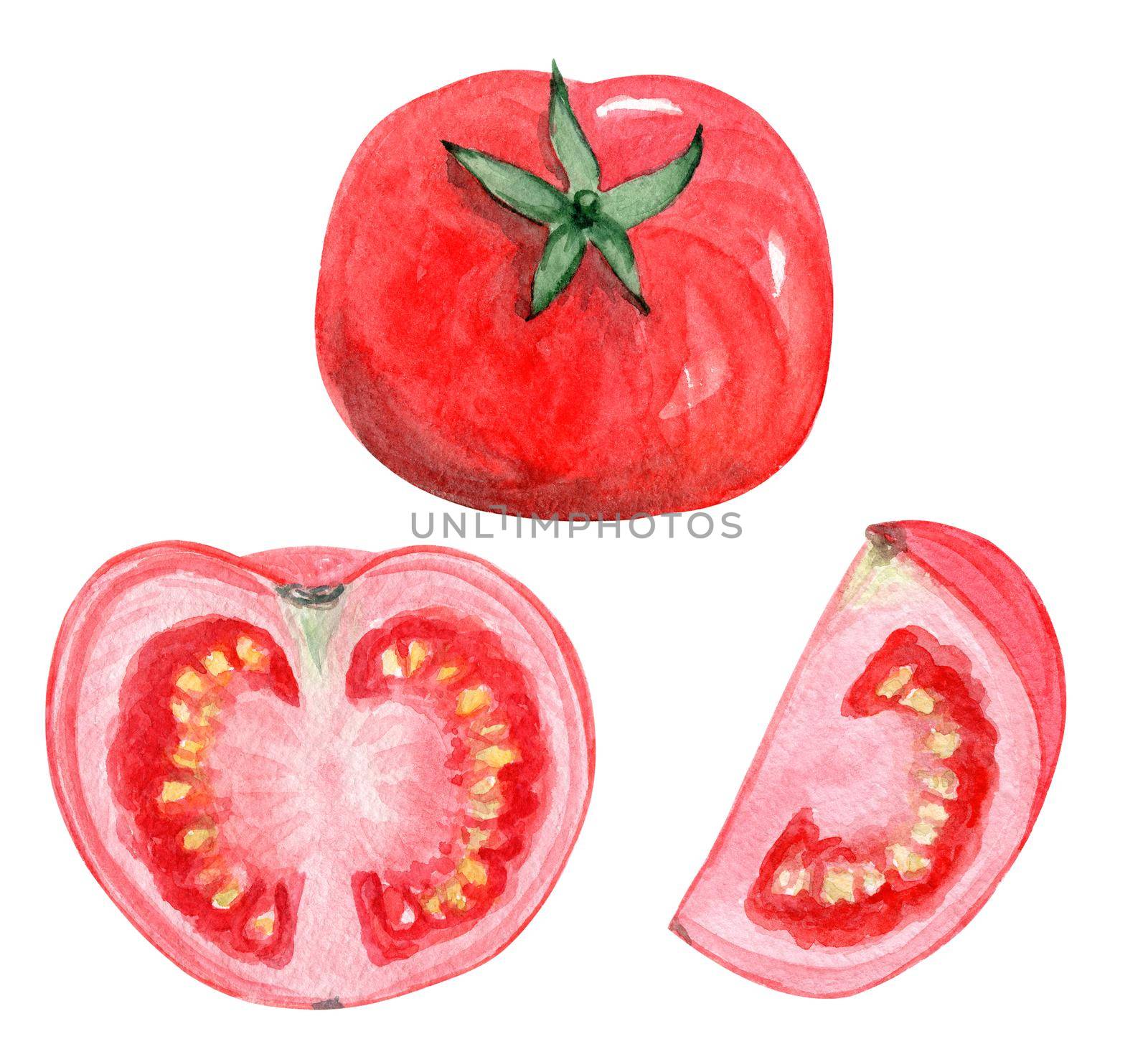 Watercolor red tomato illustrations set isolated on white background. Hand drawn vegetables for menu designs by dreamloud