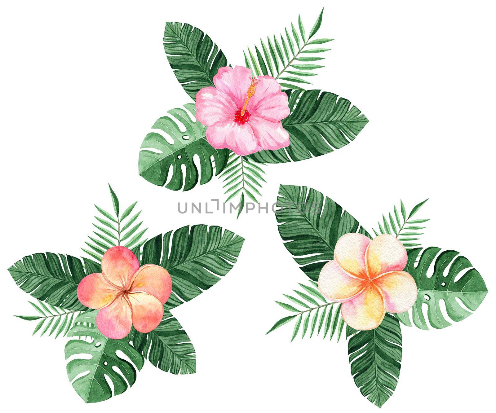 watercolor tropical leaves and flowers compositions set isolated on white background for invitation and cards decorations by dreamloud