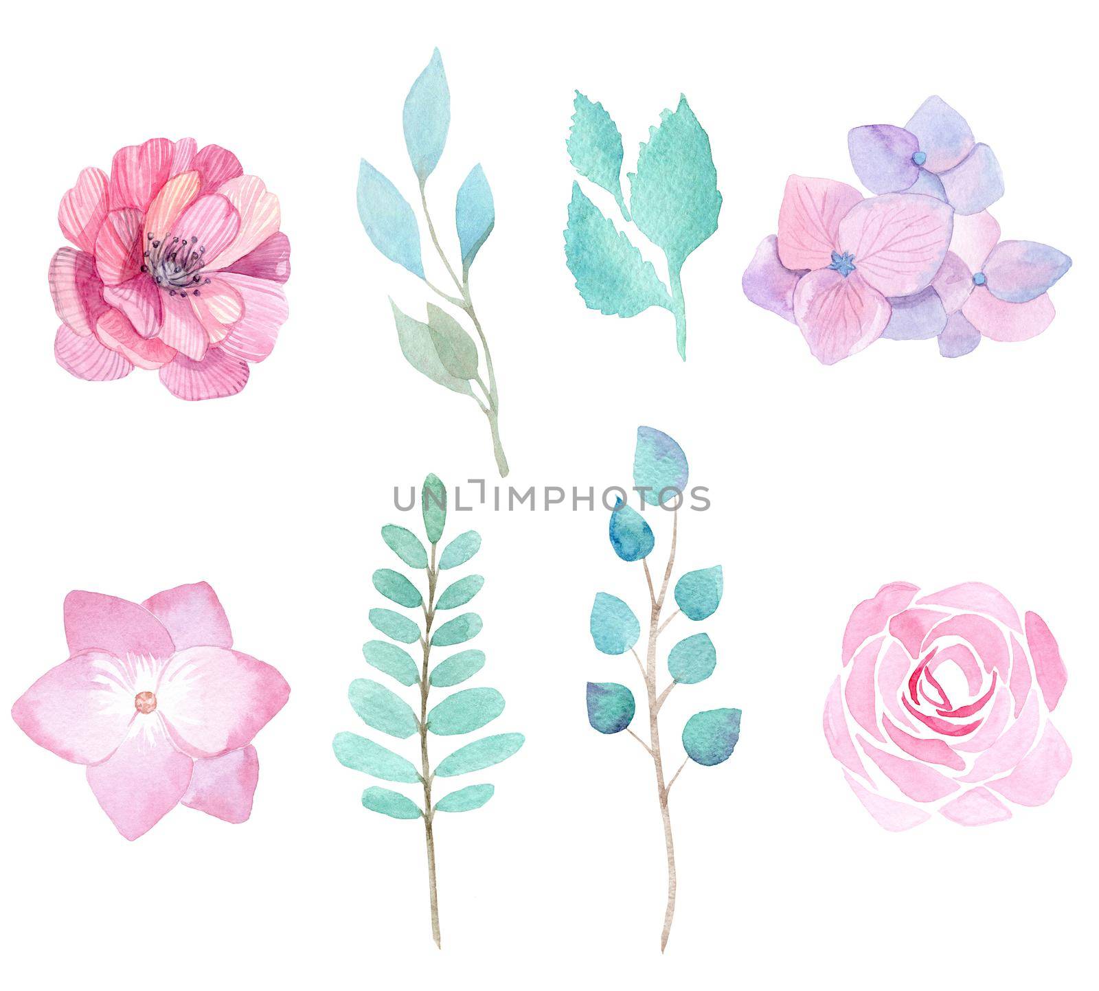 watercolor pink flowers and green leaves set isolated on white background by dreamloud