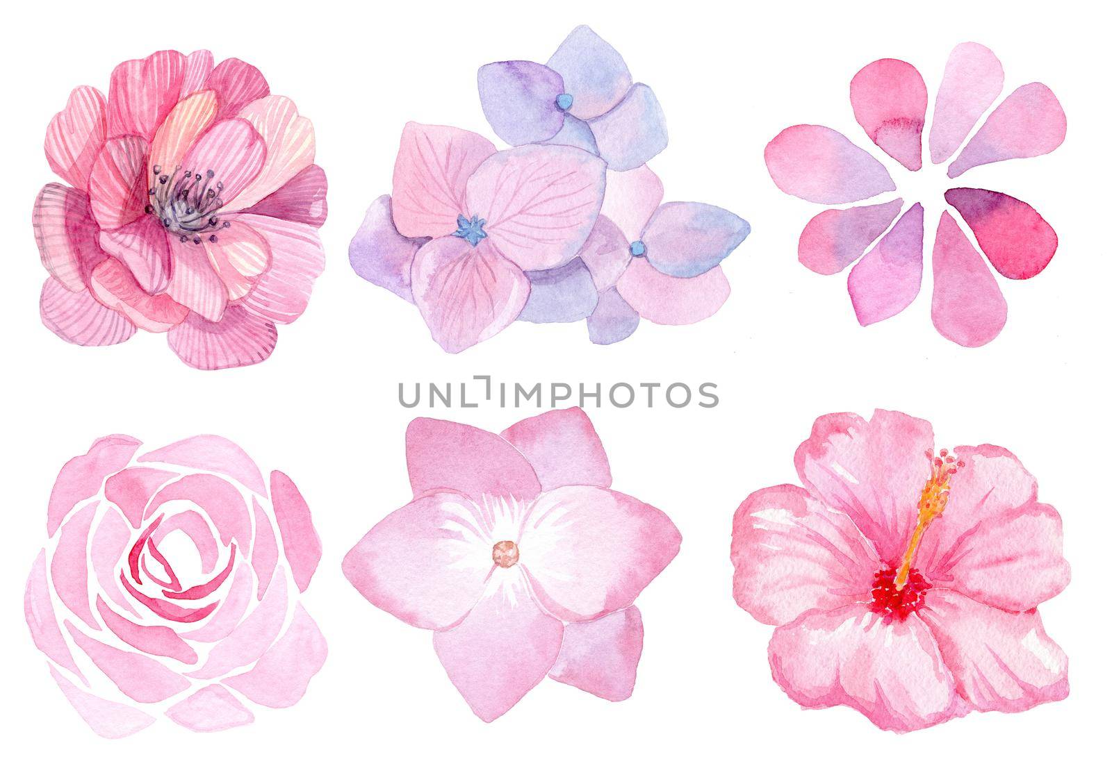 watercolor pink flowers set isolated on white background for wedding card invitations, card decoration, print