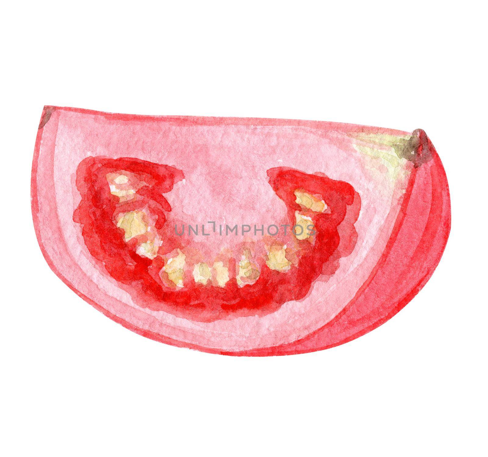 watercolor red tomato piece illustration isolated on white by dreamloud