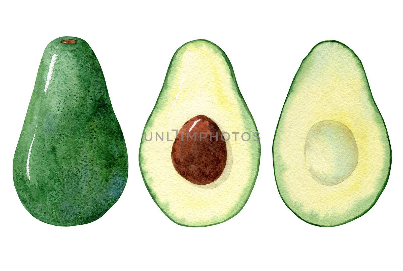 Watercolor avocado whole and half paths set isolated on white background. Food illustration by dreamloud