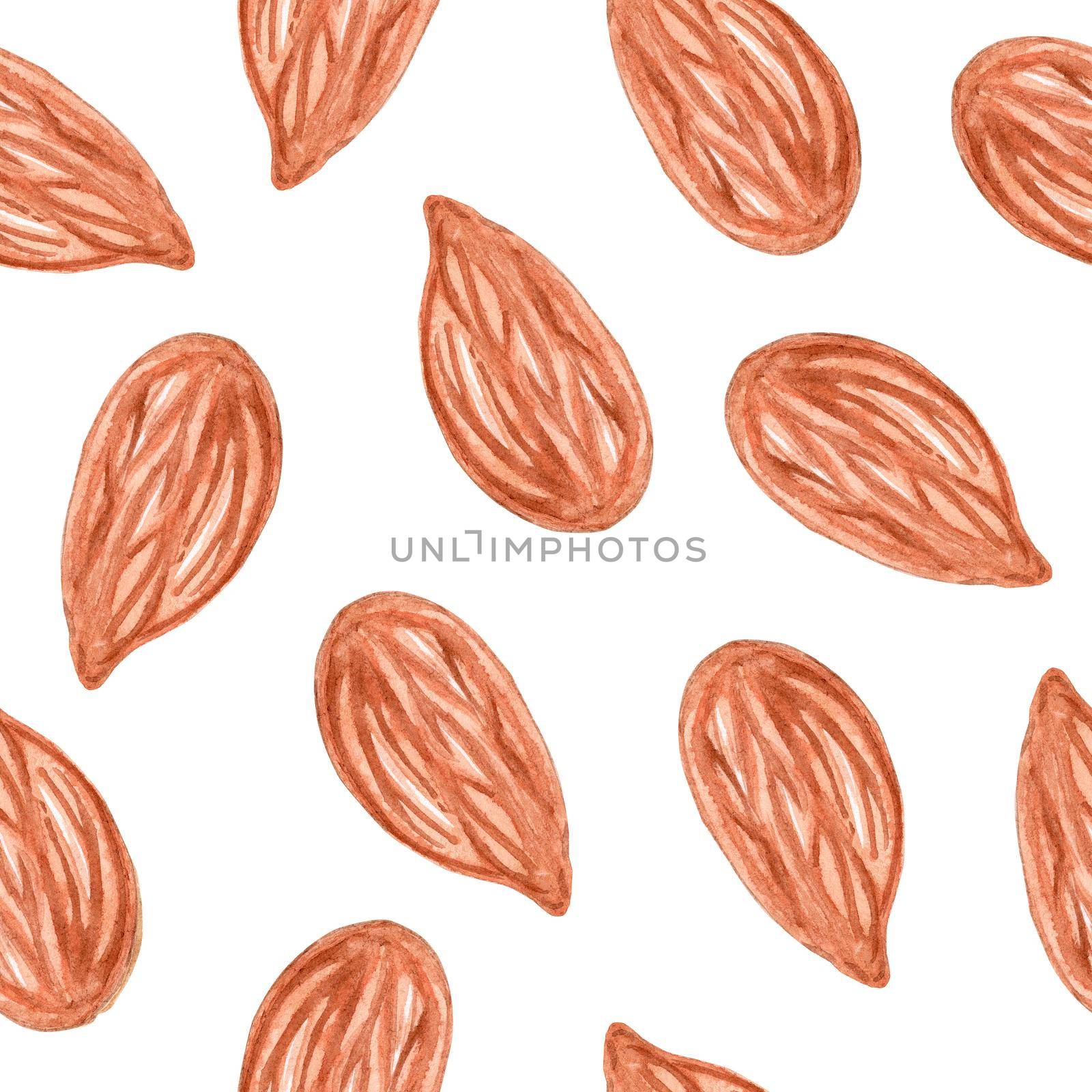 Watercolor brown almond peeled nuts seamless pattern on white by dreamloud