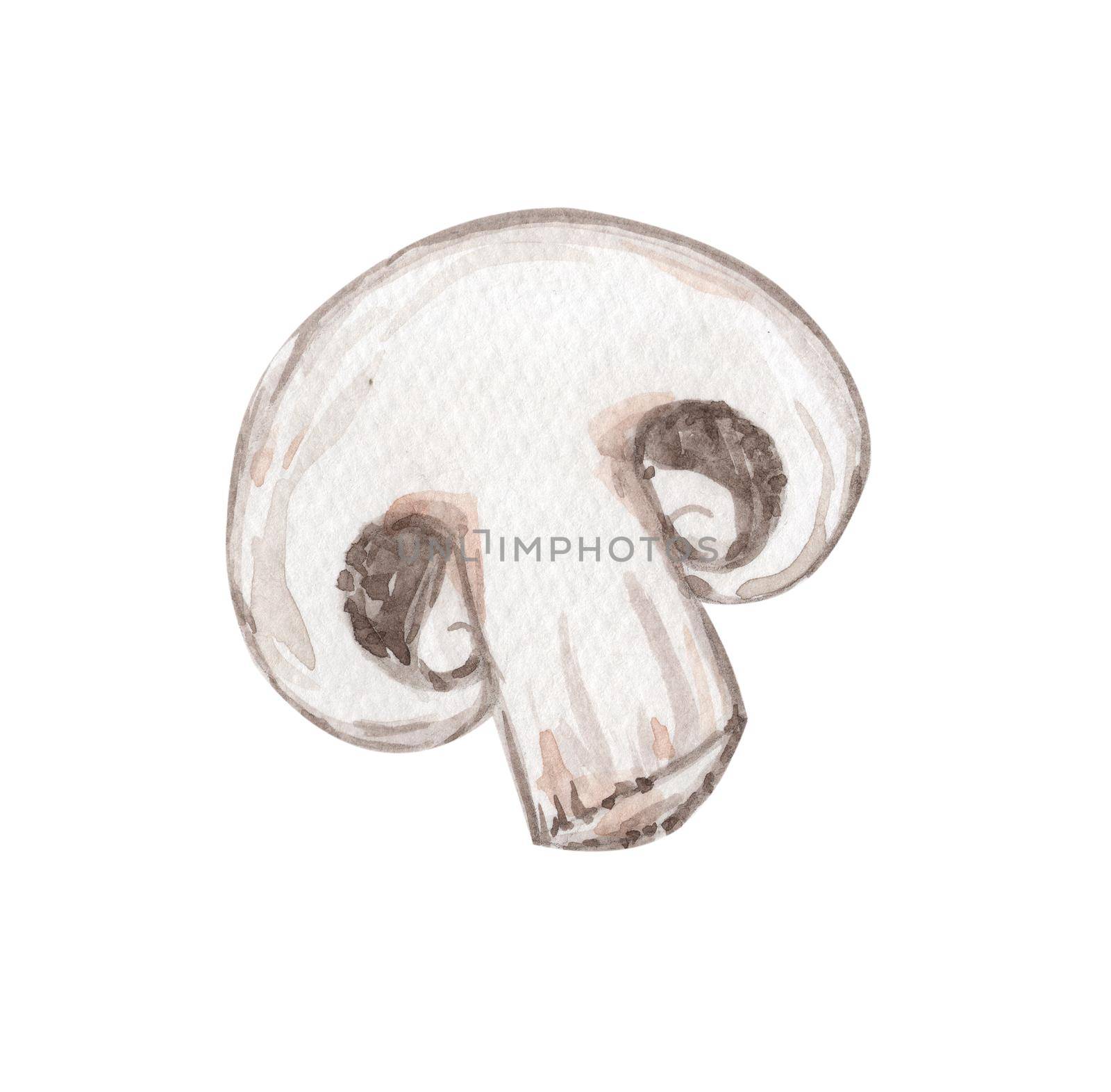 Watercolor gray champignon half cut isolated on white background. Hand drawn illustration