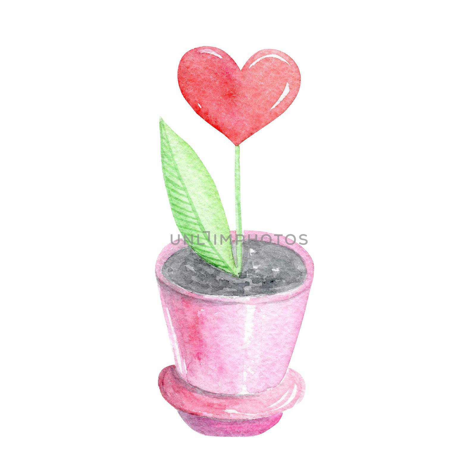 watercolor house plant in pink pot with red heart flower isolated on white background for valentines day, love cards, cute decoration, textile print by dreamloud