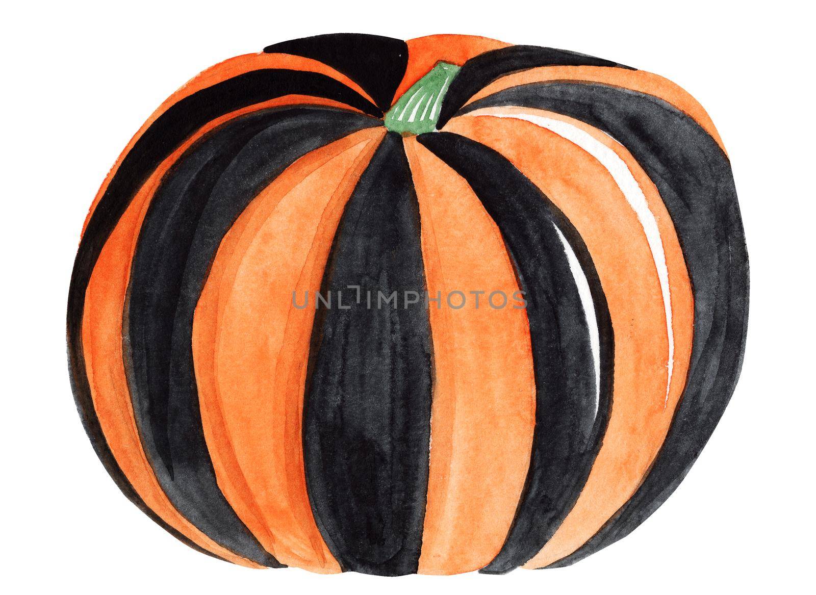 watercolor black and orange pumpkin isolated on white background for halloween decoration by dreamloud