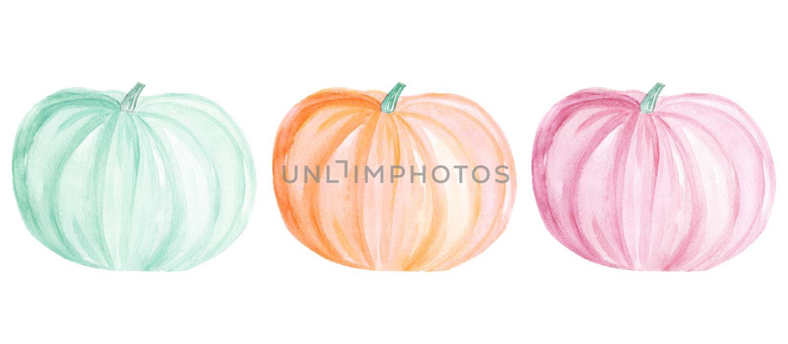 watercolor pastel color pumpkins set isolated on white background by dreamloud