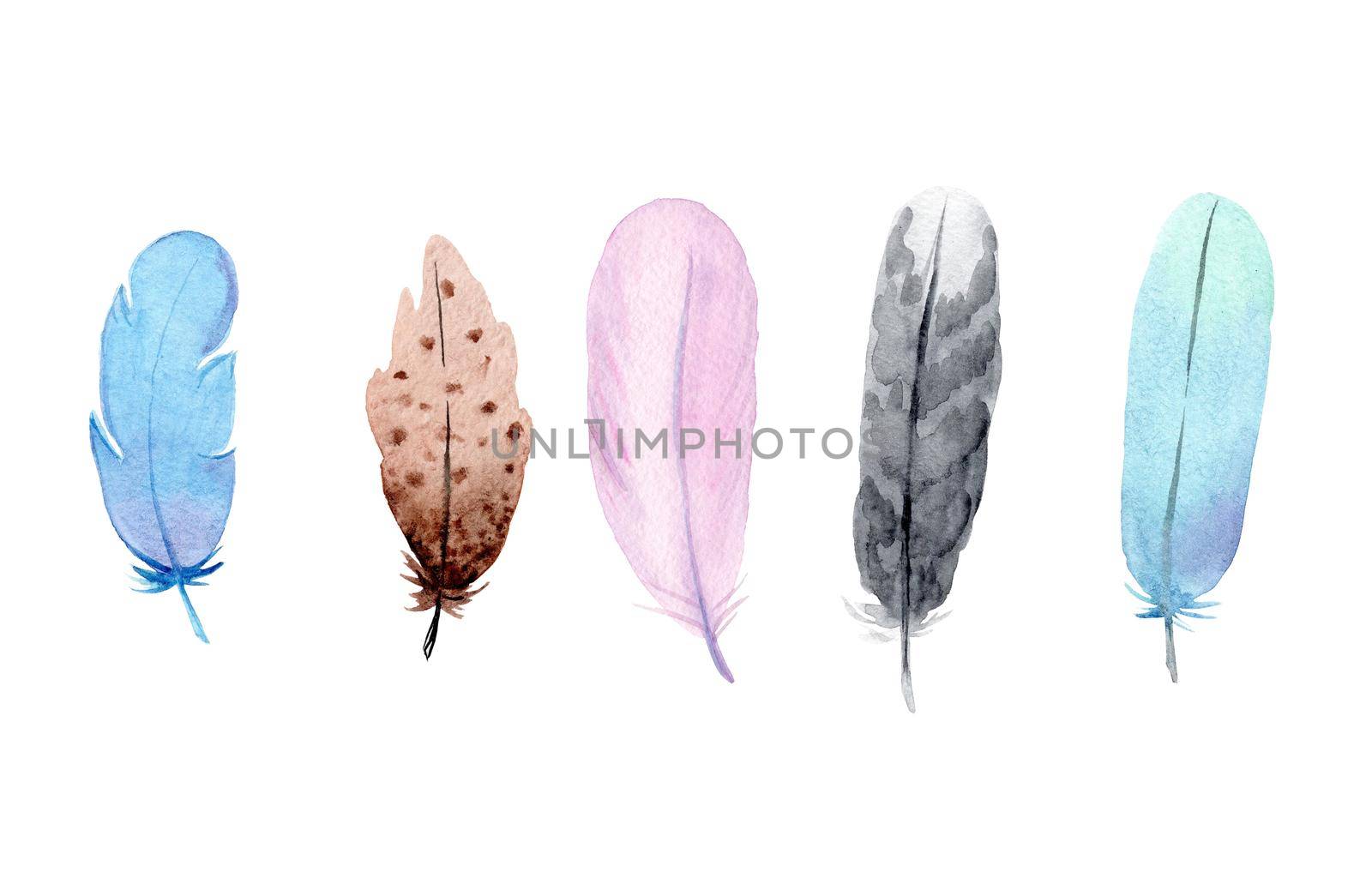 watercolor hand drawn boho bird feathers isolated on white background