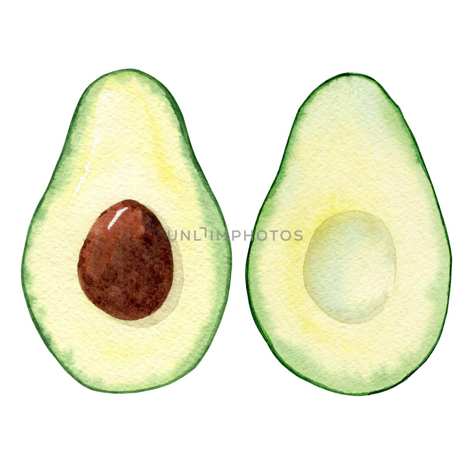 Watercolor half avocado parts with seed isolated on white background. by dreamloud