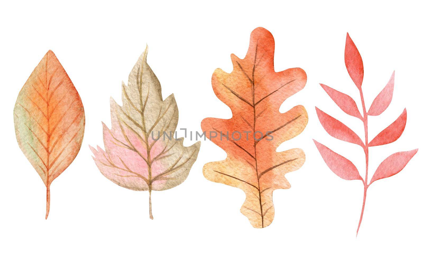 watercolor autumn leaves set isolated on white background for cards, invitations decor