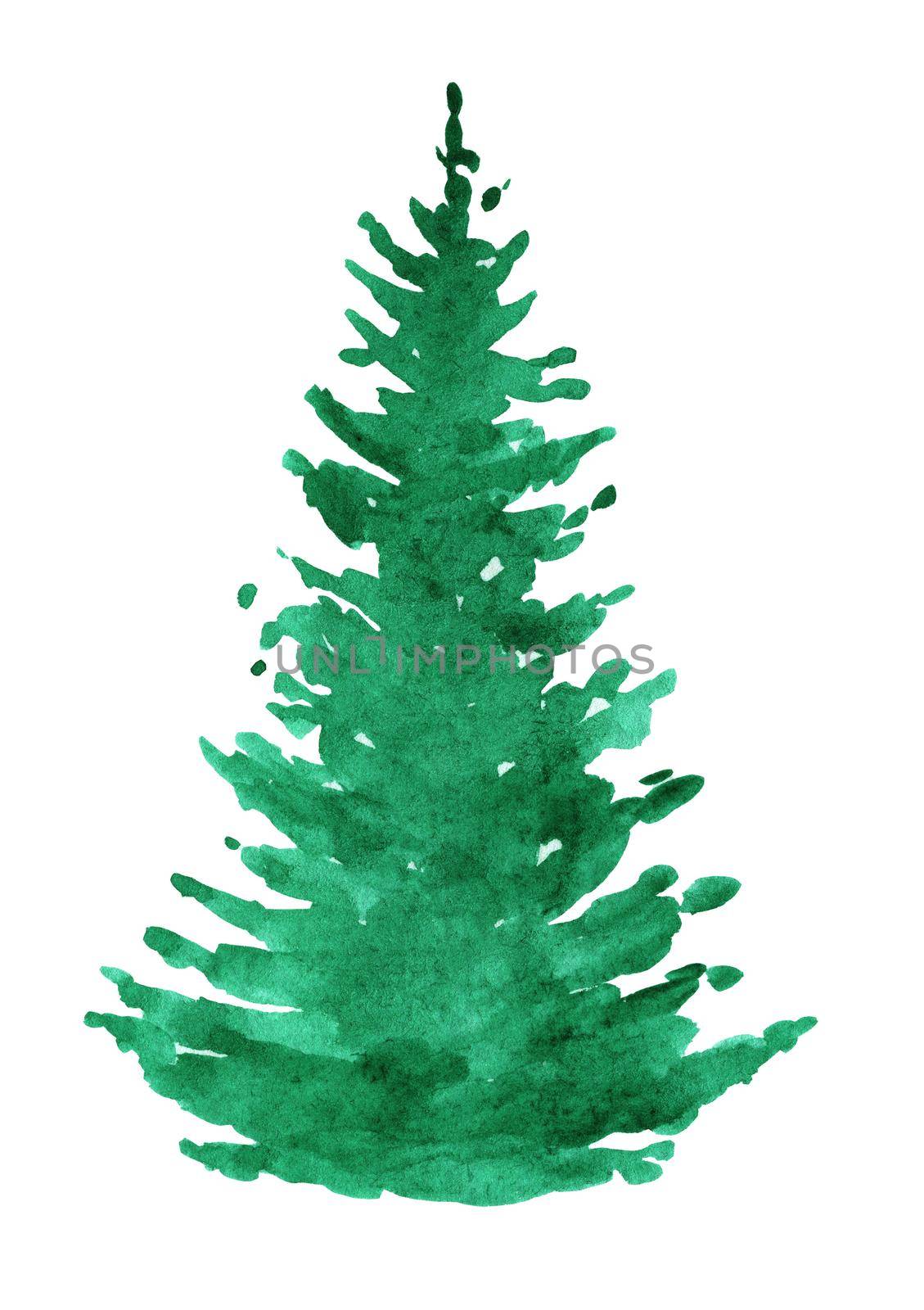 watercolor green fir tree silhouette isolated on white background. Christmas tree. by dreamloud