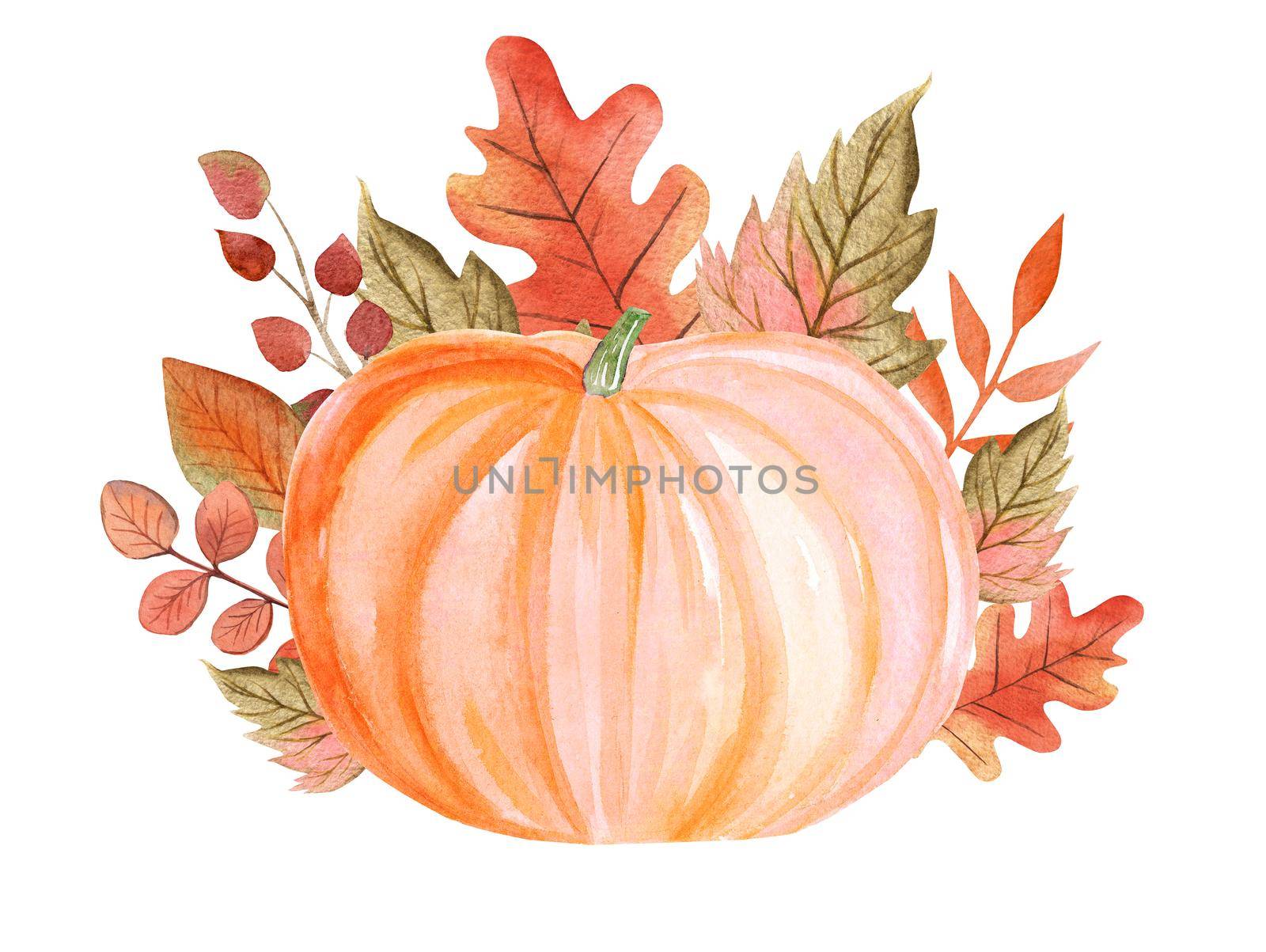 watercolor pastel orange pumpkin with autumn leaves decoration isolated on white background. For greeting cards, thanksgiving day by dreamloud