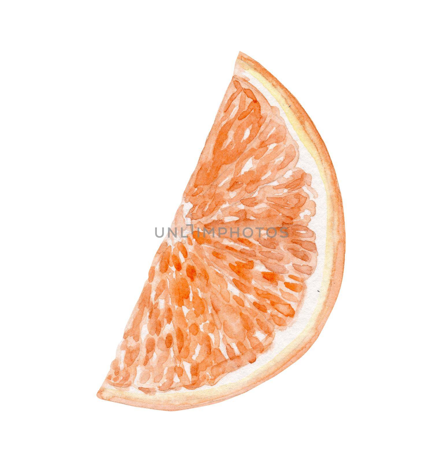 Watercolor orange fruit cut slice isolated on white background by dreamloud