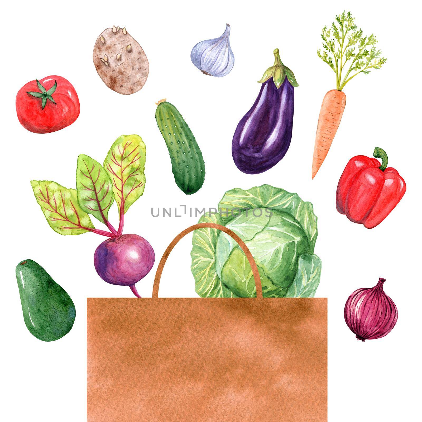 Watercolor vegetables in paper bag isolated on white background by dreamloud