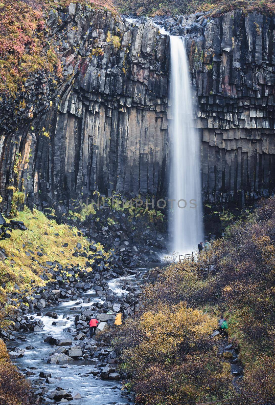 Svartifoss waterfall silk water with unrecognizable tourists on autumn, Skaftafell national park in Iceland.