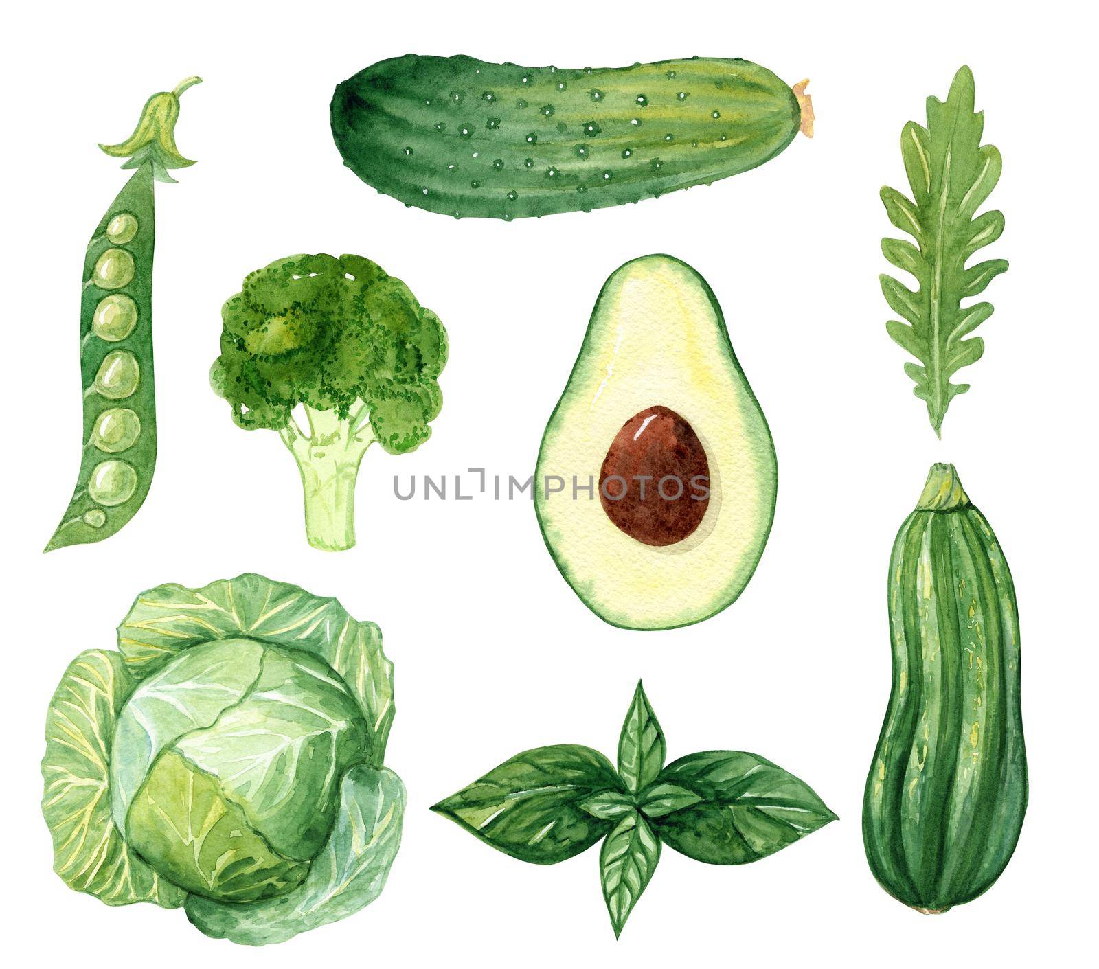 Watercolor green vegetables set isolated on white background. Vegan food hand drawn illustrations for menu, kitchen, poster