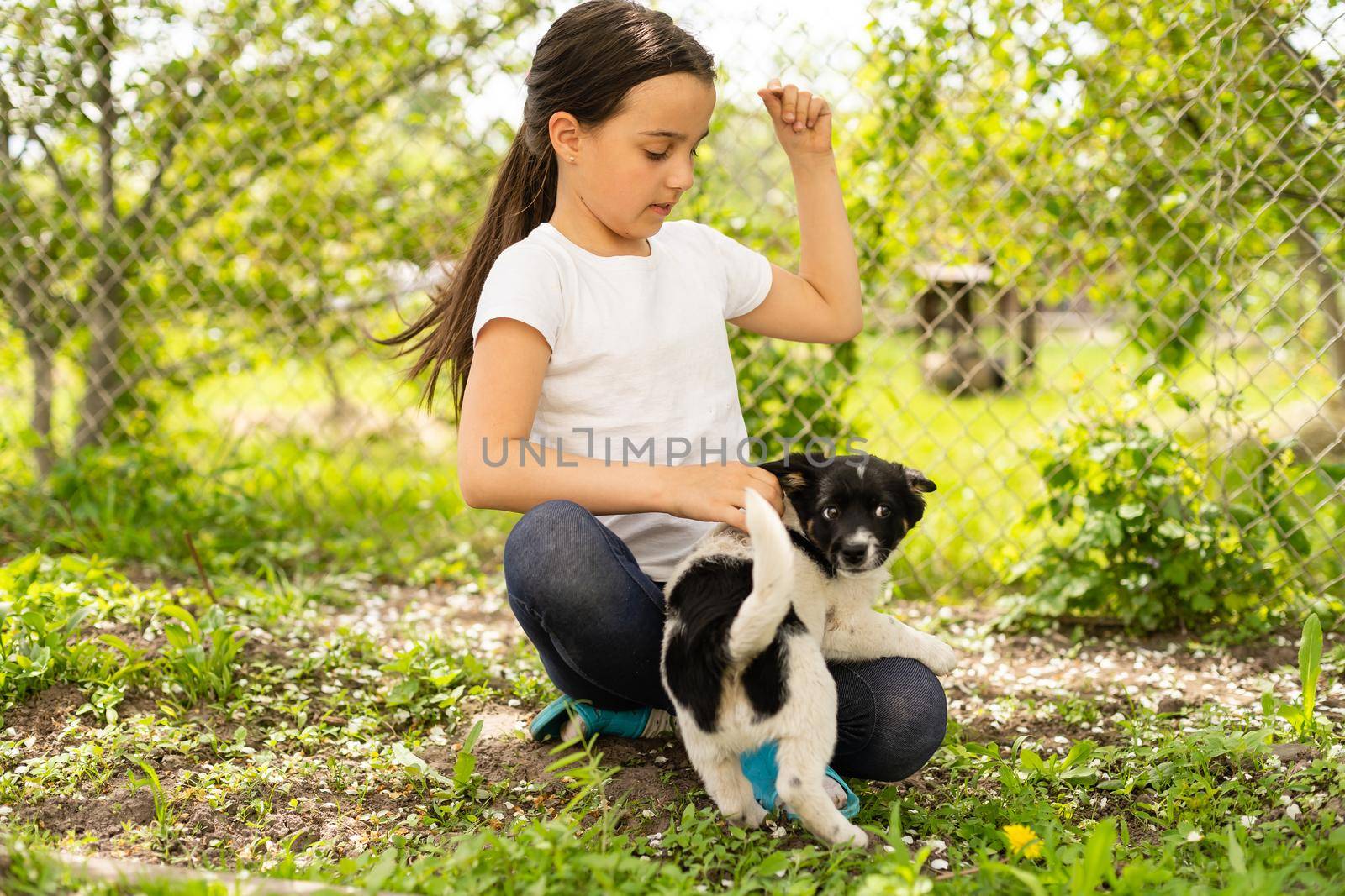 Portrait of happy little girl at home with puppy by Andelov13