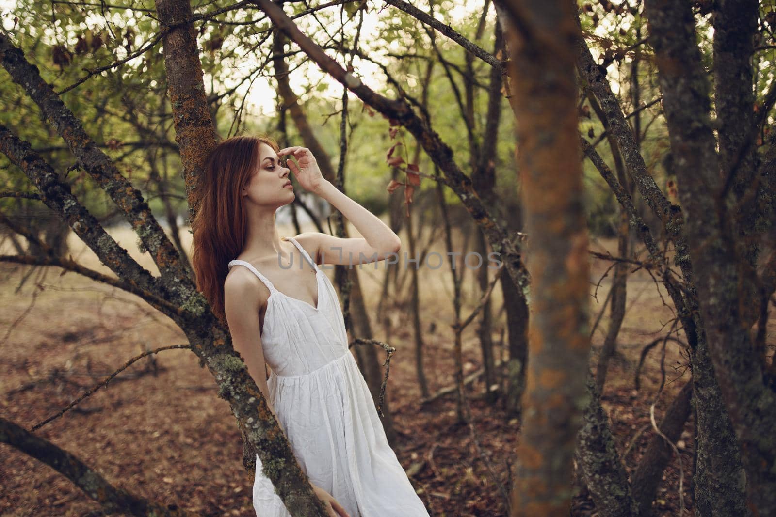 pretty woman in white dress forest nature walk vacation. High quality photo